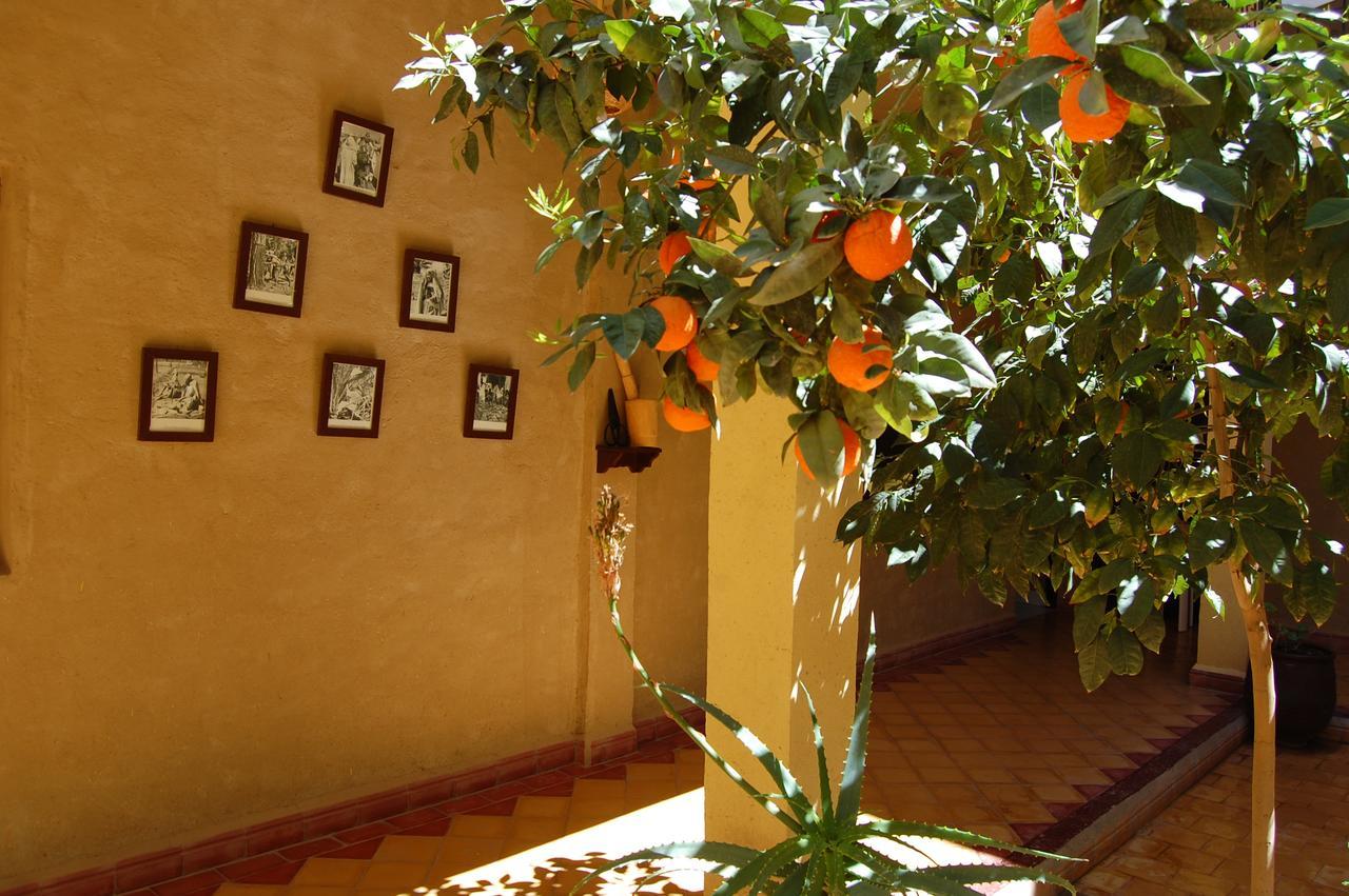 Auberge Amellagou ภายนอก รูปภาพ